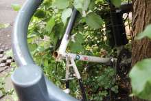 Bild zu gemeldetem Anliegen vom *2024-07-26 15:32:51
