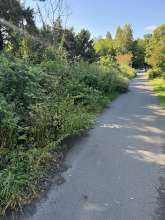 Bild zu gemeldetem Anliegen vom *2024-07-12 18:27:53