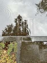 Bild zu gemeldetem Anliegen vom *2024-07-12 06:30:58