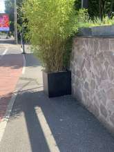 Bild zu gemeldetem Anliegen vom *2024-07-14 16:42:07