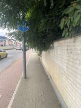 Bild zu gemeldetem Anliegen vom *2024-07-09 13:08:48