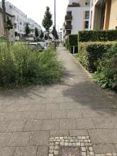 Gehweg halb zugewachsen Bild zu gemeldetem Aliegen vom *2024-07-19 17:17:08