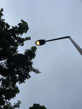 Bild zu gemeldetem Anliegen vom *2024-07-02 12:33:45