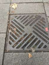 Bild zu gemeldetem Anliegen vom *2024-07-27 12:28:14