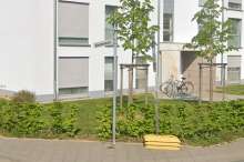 Bild zu gemeldetem Anliegen vom *2024-07-15 12:29:07
