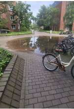 Verstopfter Gully vor Haus 11