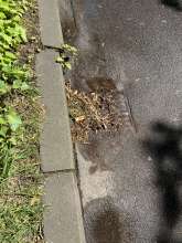 Bild zu gemeldetem Anliegen vom *2024-07-21 15:52:45