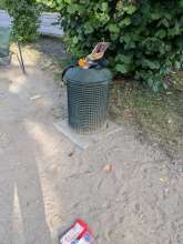 Bild zu gemeldetem Anliegen vom *2024-08-12 08:48:44