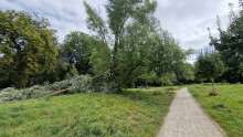 Bild zu gemeldetem Anliegen vom *2024-08-23 12:29:07