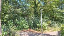Bild zu gemeldetem Anliegen vom *2024-08-28 14:24:42