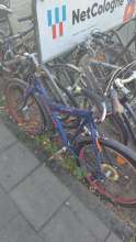 Bild zu gemeldetem Anliegen vom *2024-08-12 16:45:53