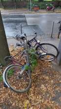 Bild zu gemeldetem Anliegen vom *2024-08-13 23:46:09