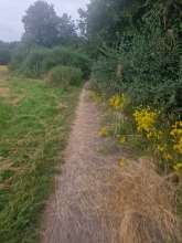 Bild zu gemeldetem Anliegen vom *2024-08-20 12:34:08