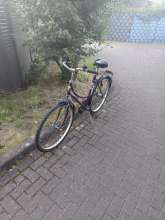 Bild zu gemeldetem Anliegen vom *2024-08-07 19:06:02