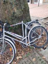 Bild zu gemeldetem Anliegen vom *2024-08-05 12:36:11