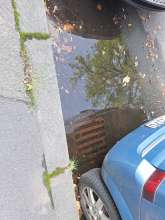 Bild zu gemeldetem Anliegen vom *2024-08-31 21:13:13