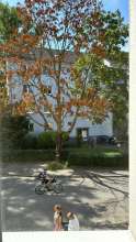 Bild zu gemeldetem Anliegen vom *2024-08-12 19:04:56