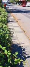 Bild zu gemeldetem Anliegen vom *2024-08-15 12:27:13