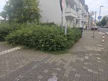 Bild zu gemeldetem Anliegen vom *2024-08-29 21:29:20