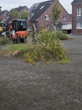 Bild zu gemeldetem Anliegen vom *2024-08-14 19:31:48