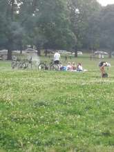 Bild zu gemeldetem Anliegen vom *2024-08-20 15:33:31
