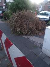 Bild zu gemeldetem Anliegen vom *2024-08-25 18:34:05