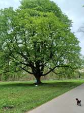 Bild zu gemeldetem Anliegen vom *2024-08-14 11:43:31