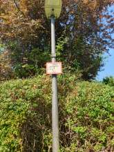 Bild zu gemeldetem Anliegen vom *2024-08-06 10:33:05