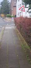 Bild zu gemeldetem Anliegen vom *2024-08-07 13:12:05