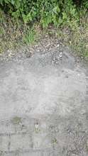 Bild zu gemeldetem Anliegen vom *2024-08-14 12:27:47