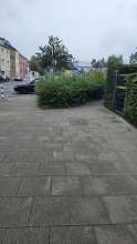 Bild zu gemeldetem Anliegen vom *2024-08-15 12:07:16