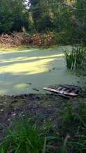 Bild zu gemeldetem Anliegen vom *2024-08-15 09:27:59