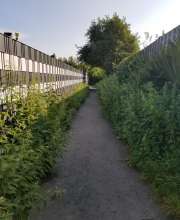 Bild zu gemeldetem Anliegen vom *2024-08-25 09:28:33
