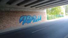 Bild zu gemeldetem Anliegen vom *2024-08-27 07:19:28