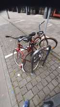 Bild zu gemeldetem Anliegen vom *2024-08-30 14:55:14