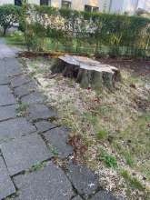 Bild zu gemeldetem Anliegen vom *2024-08-27 15:29:27