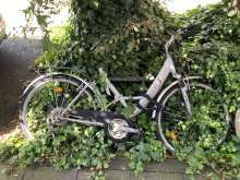 Bild zu gemeldetem Anliegen vom *2024-08-11 06:31:28