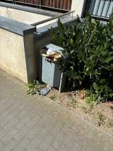 Bild zu gemeldetem Anliegen vom *2024-08-12 09:33:21