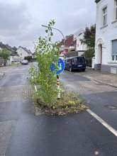 Bild zu gemeldetem Anliegen vom *2024-08-01 19:53:49