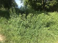 Bild zu gemeldetem Anliegen vom *2024-08-12 13:22:30