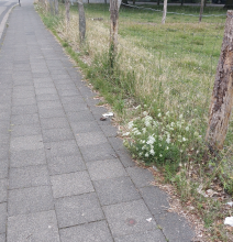 Bild zu gemeldetem Anliegen vom *2024-08-02 02:12:48