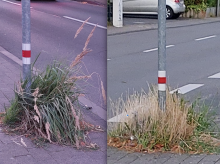 Bild zu gemeldetem Anliegen vom *2024-08-11 00:28:29