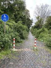 Bild zu gemeldetem Anliegen vom *2024-08-14 19:42:23