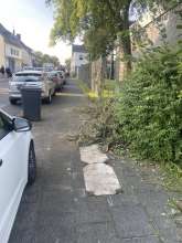 Bild zu gemeldetem Anliegen vom *2024-08-22 06:33:42