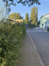 Hecke bitte schneiden lassen