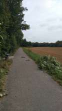 Bild zu gemeldetem Anliegen vom *2024-08-14 14:06:45