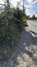 Bild zu gemeldetem Anliegen vom *2024-08-08 17:13:35