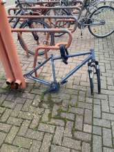 Bild zu gemeldetem Anliegen vom *2024-08-15 06:28:39