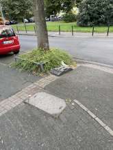 Bild zu gemeldetem Anliegen vom *2024-08-13 21:28:29