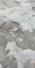 Bild zu gemeldetem Anliegen vom *2024-08-09 14:48:18